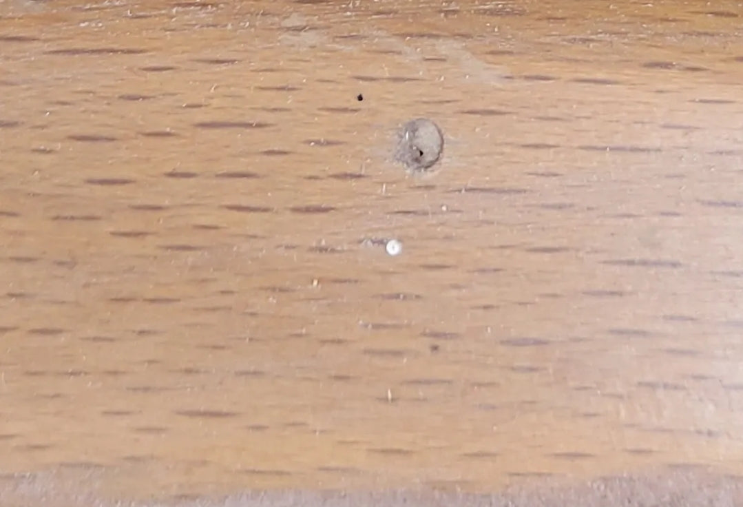 Mid Century Modern Blonde Ercol 203 Armchair New Upholstery