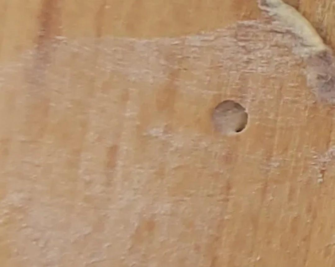 Mid Century Modern Blonde Ercol 203 Armchair New Upholstery