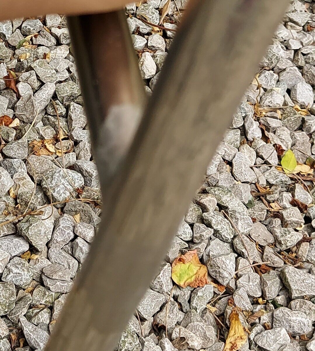 Mid Century Modern 2 'S' Range Chairs John Sylvia Reid Beige Vinyl