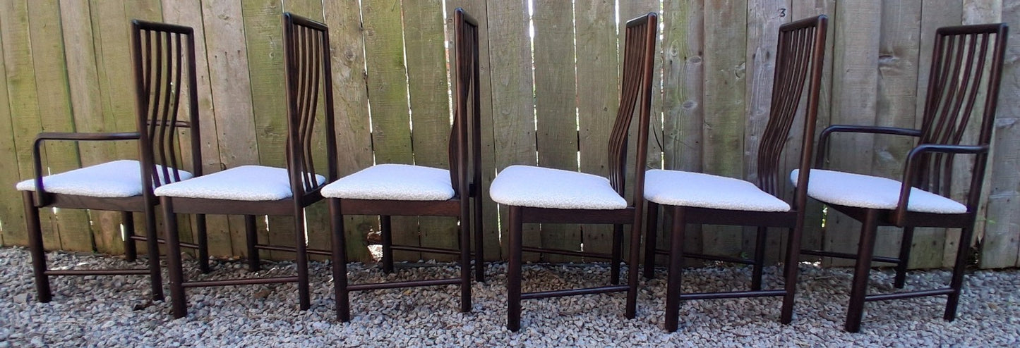 Mid Century Modern Danish Dining Chairs by Boltinge incl 2 carvers Ivory Boucle