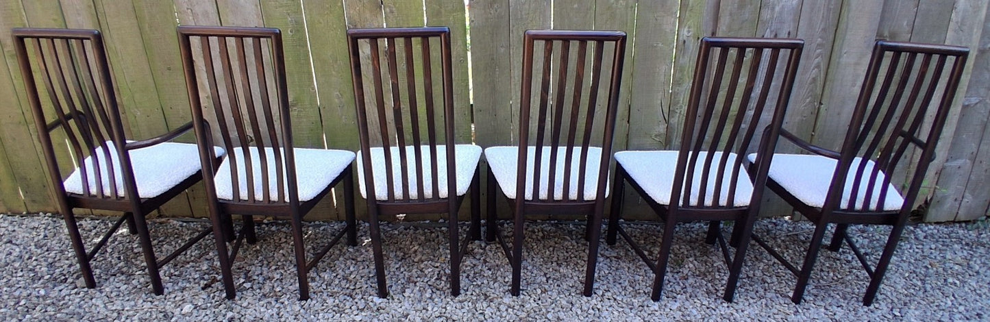 Mid Century Modern Danish Dining Chairs by Boltinge incl 2 carvers Ivory Boucle