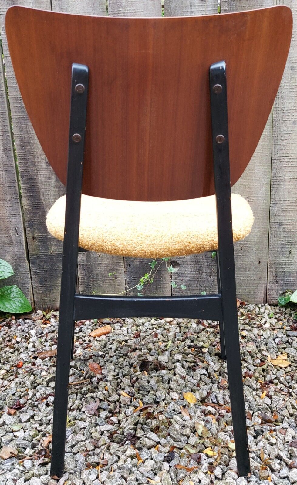 MCM 4 reupholstered dining chairs Ochre Boucle Black Teak Finish