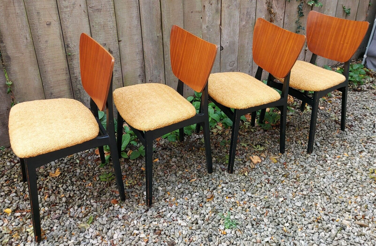 MCM 4 reupholstered dining chairs Ochre Boucle Black Teak Finish