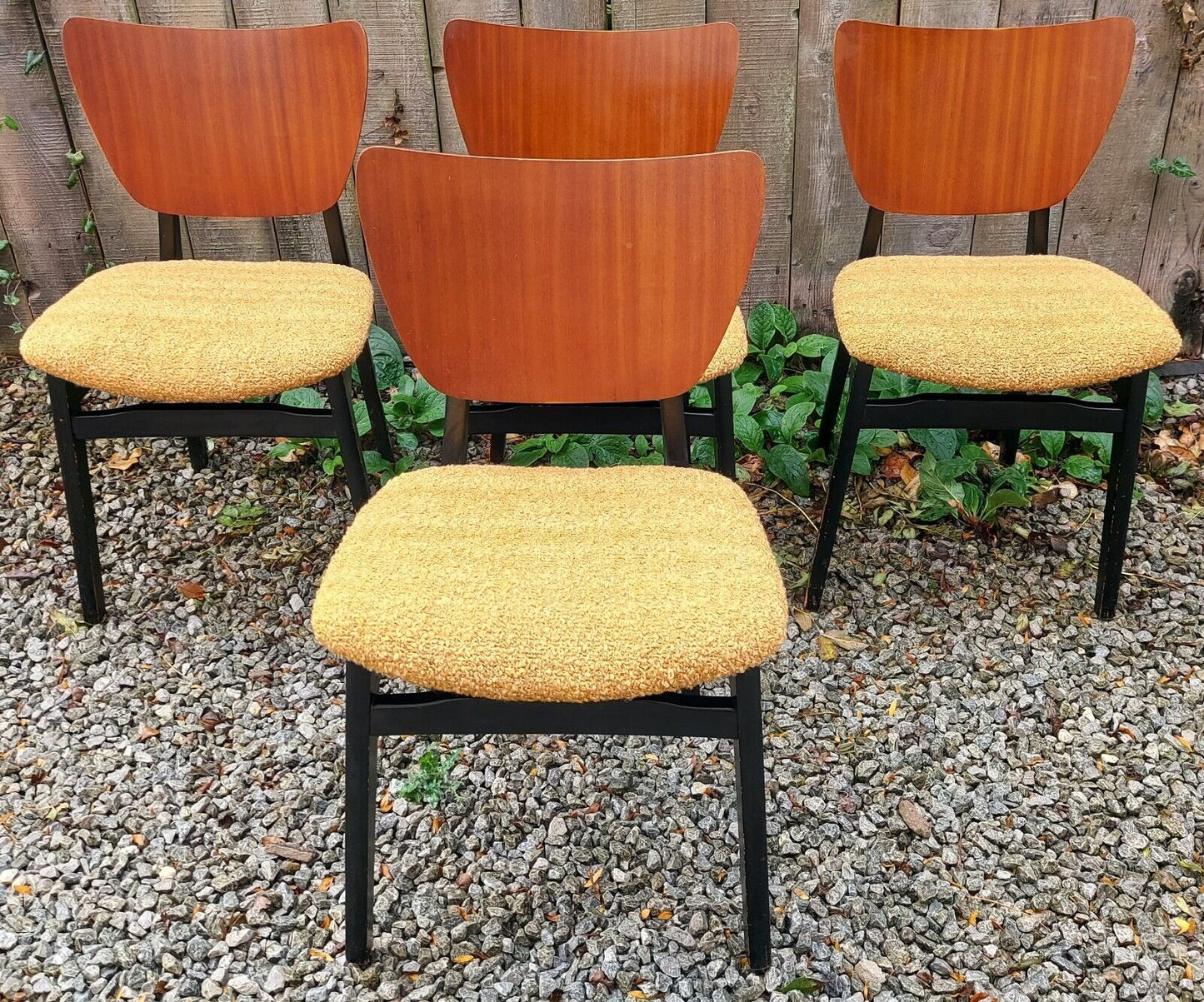 MCM 4 reupholstered dining chairs Ochre Boucle Black Teak Finish